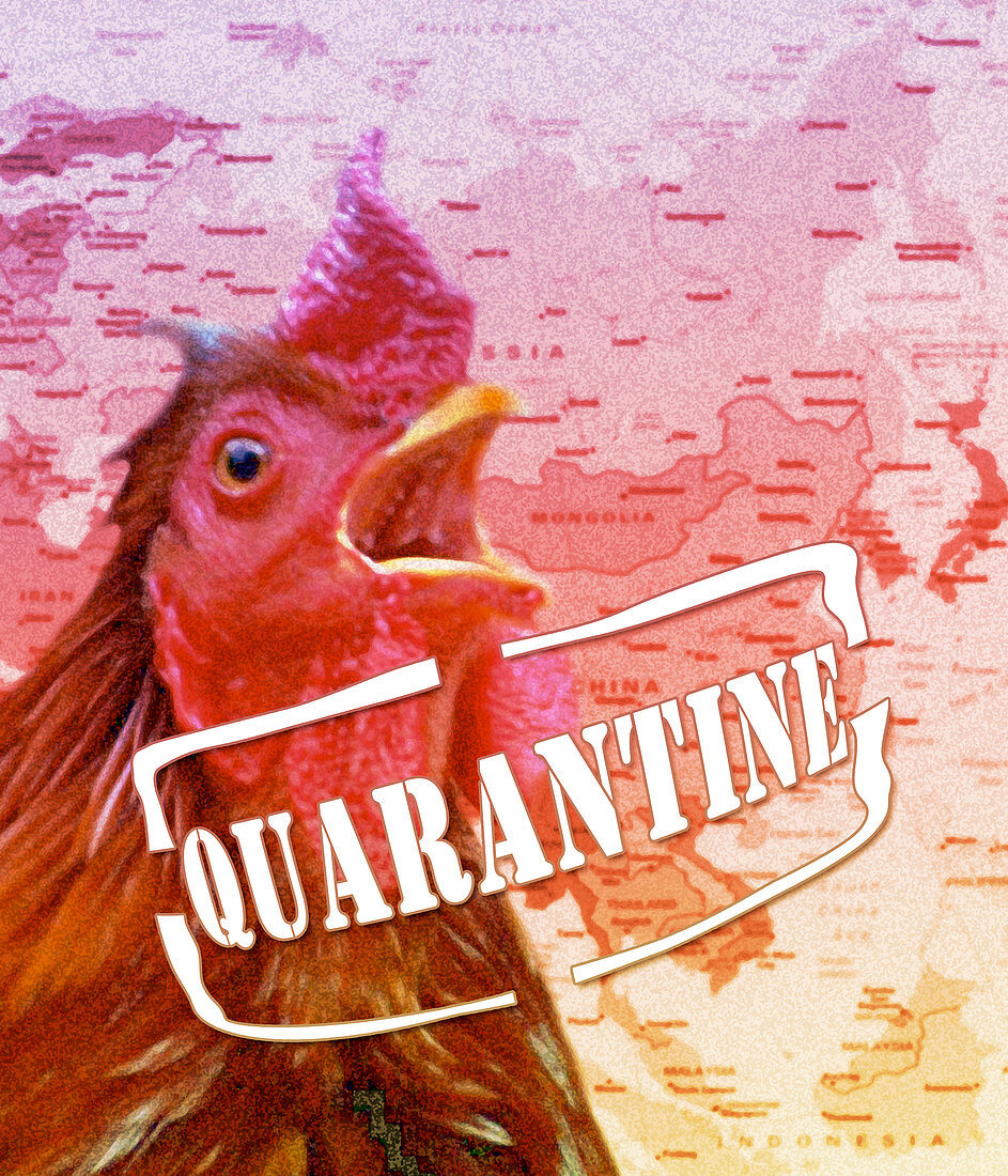 Avian flu containment,conceptual art