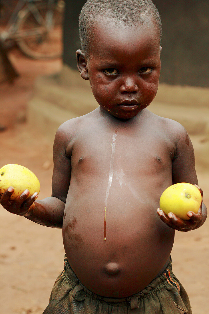 Child with mango fruits