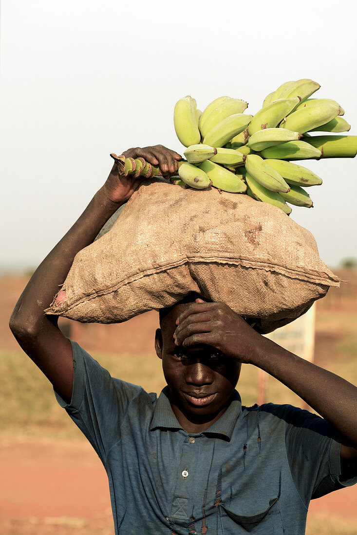 Carrying food at a refugee camp,Uganda