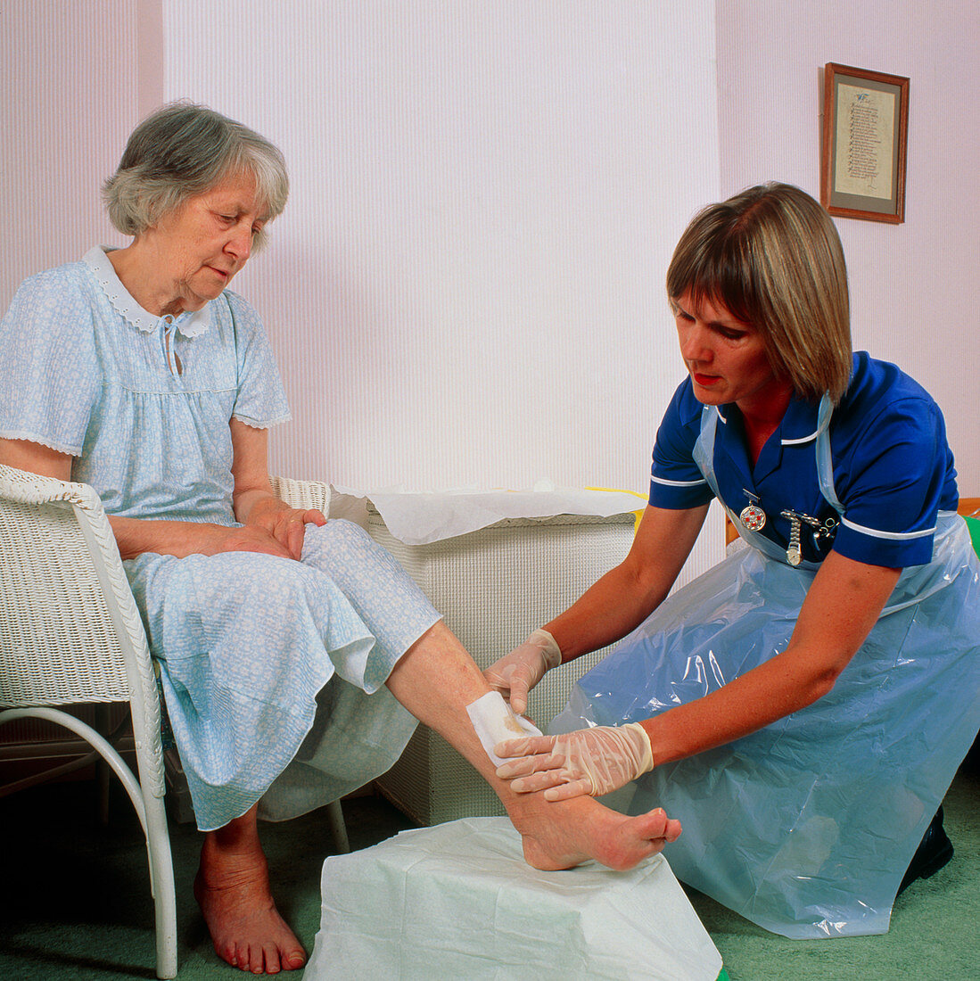 District nurse bandages leg ulcer on old woman