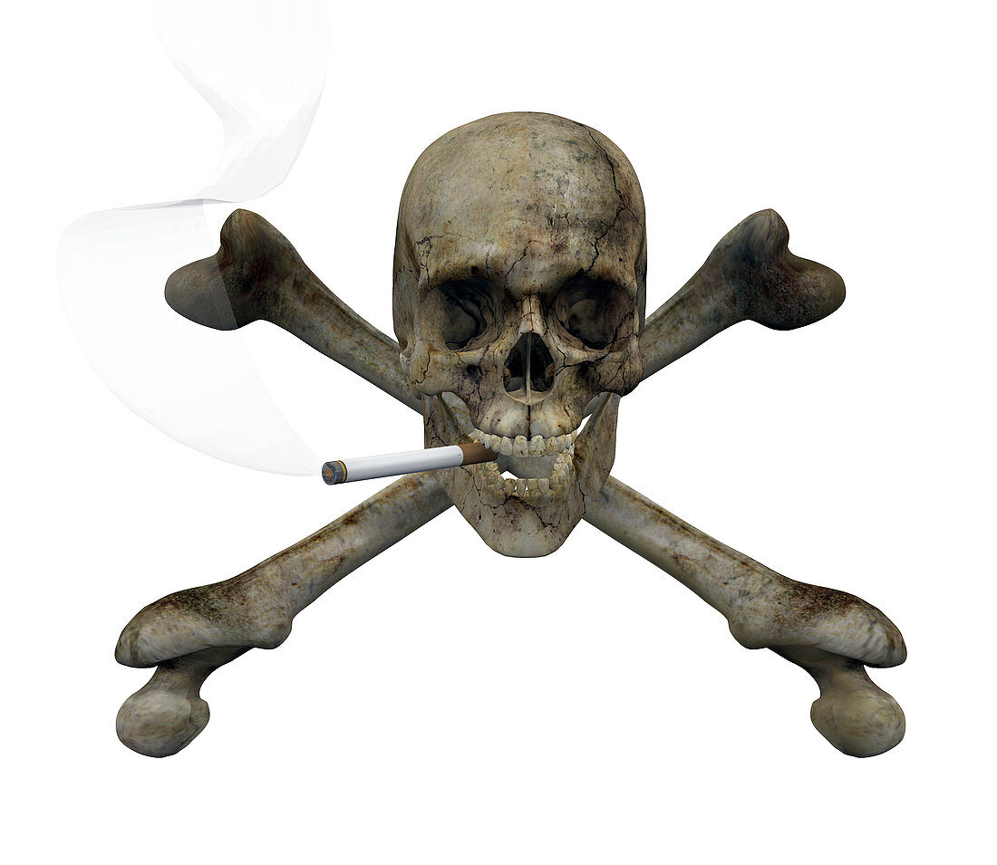 Smoking skull and crossbones