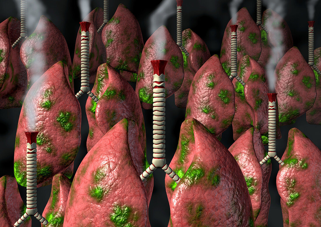 Smoker's lungs,conceptual artwork