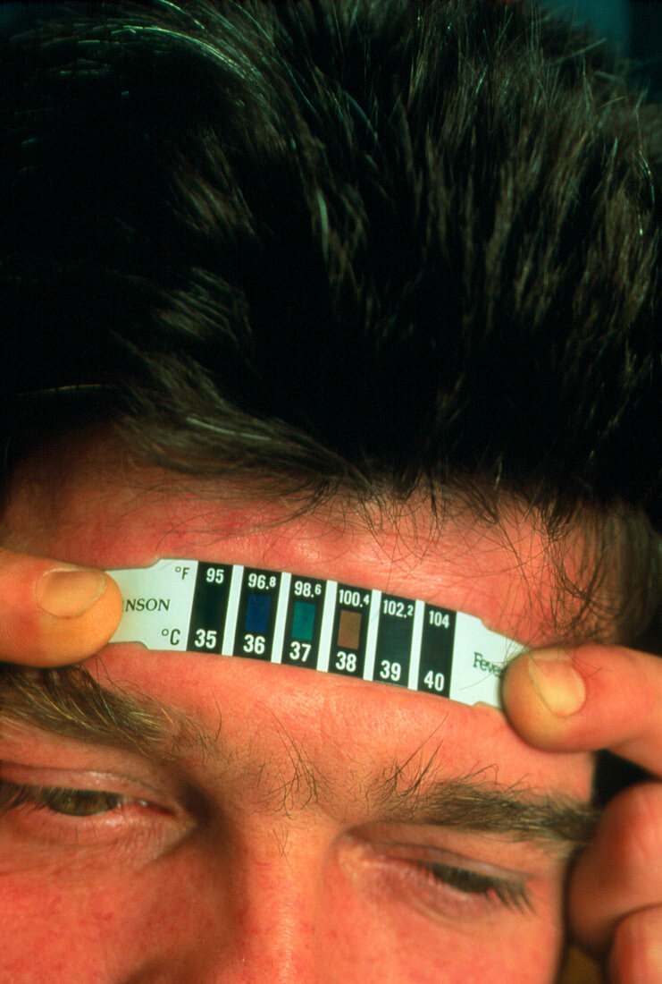Man using a thermochromic strip thermometer