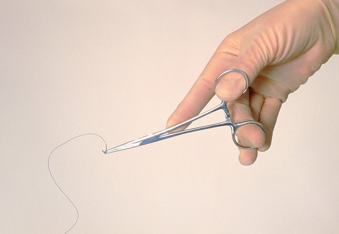 Gloved hand holds a suture in some scissor forceps