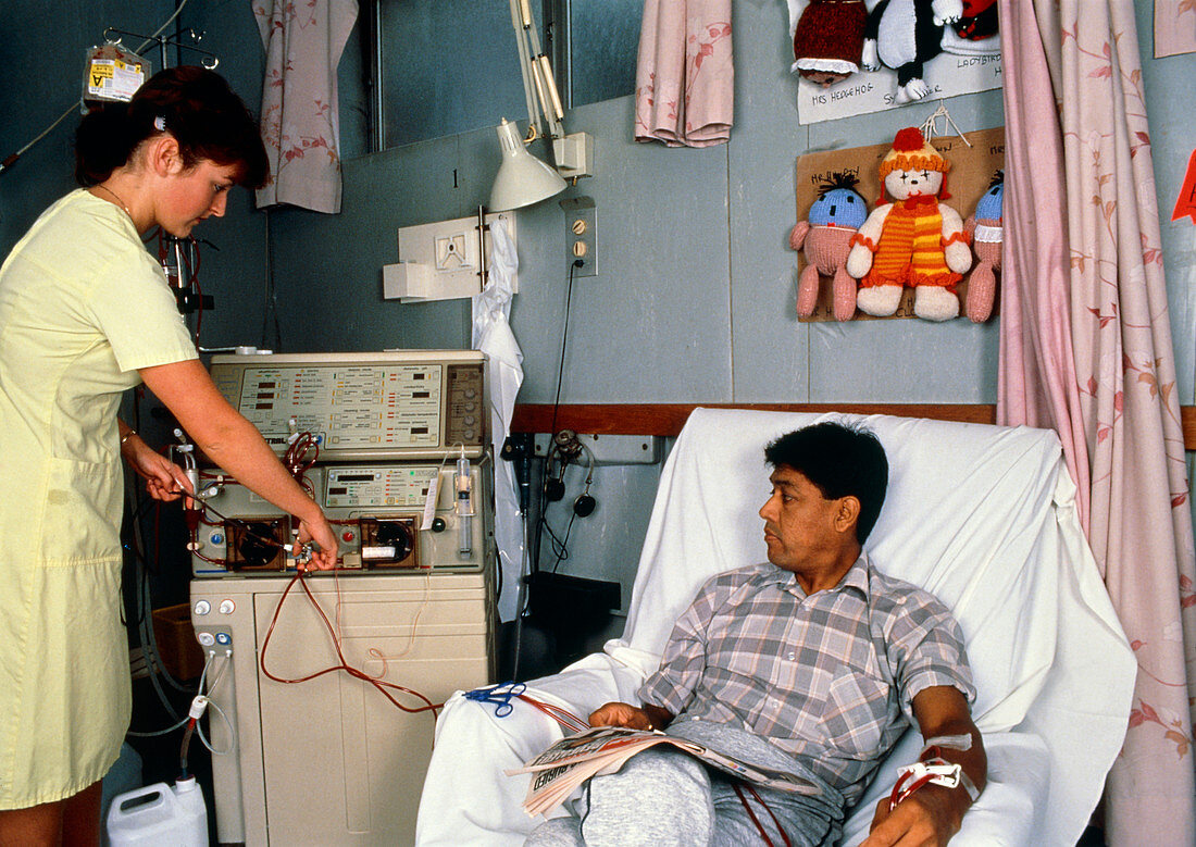 Nurse preparing patient on kidney machine