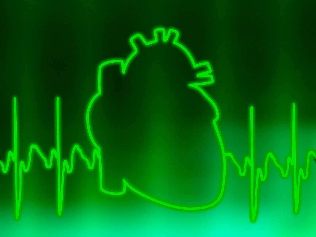 ECG and heart outline