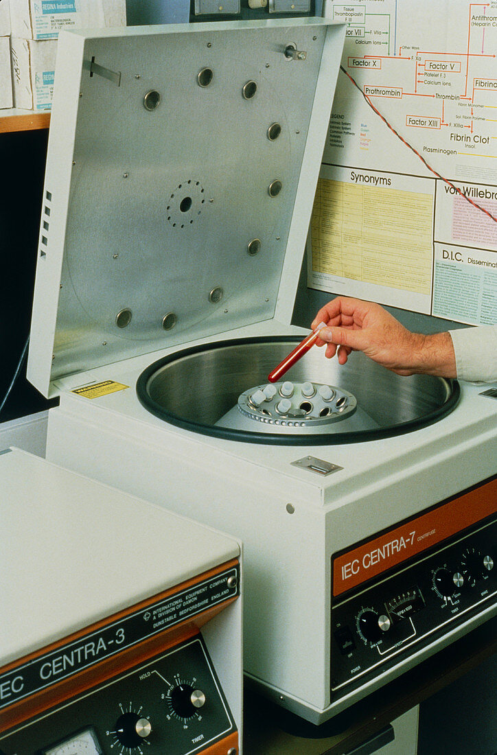 Blood samples being placed in a centrifuge