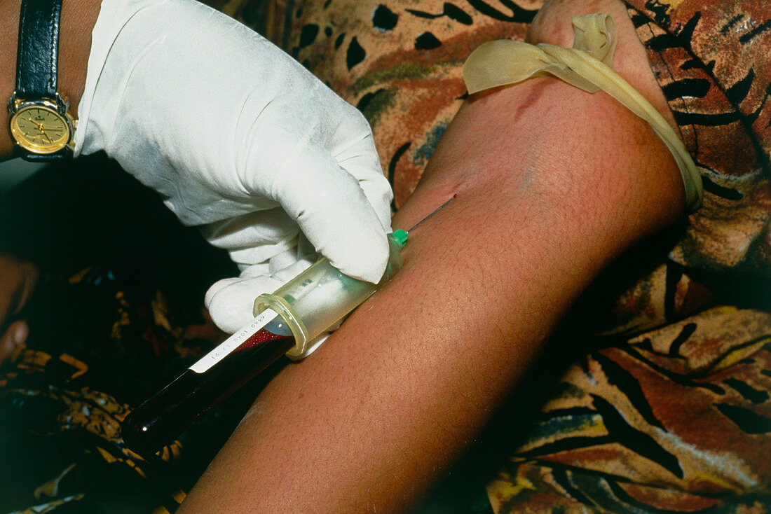 Drawing blood sample from vein in a woman's arm