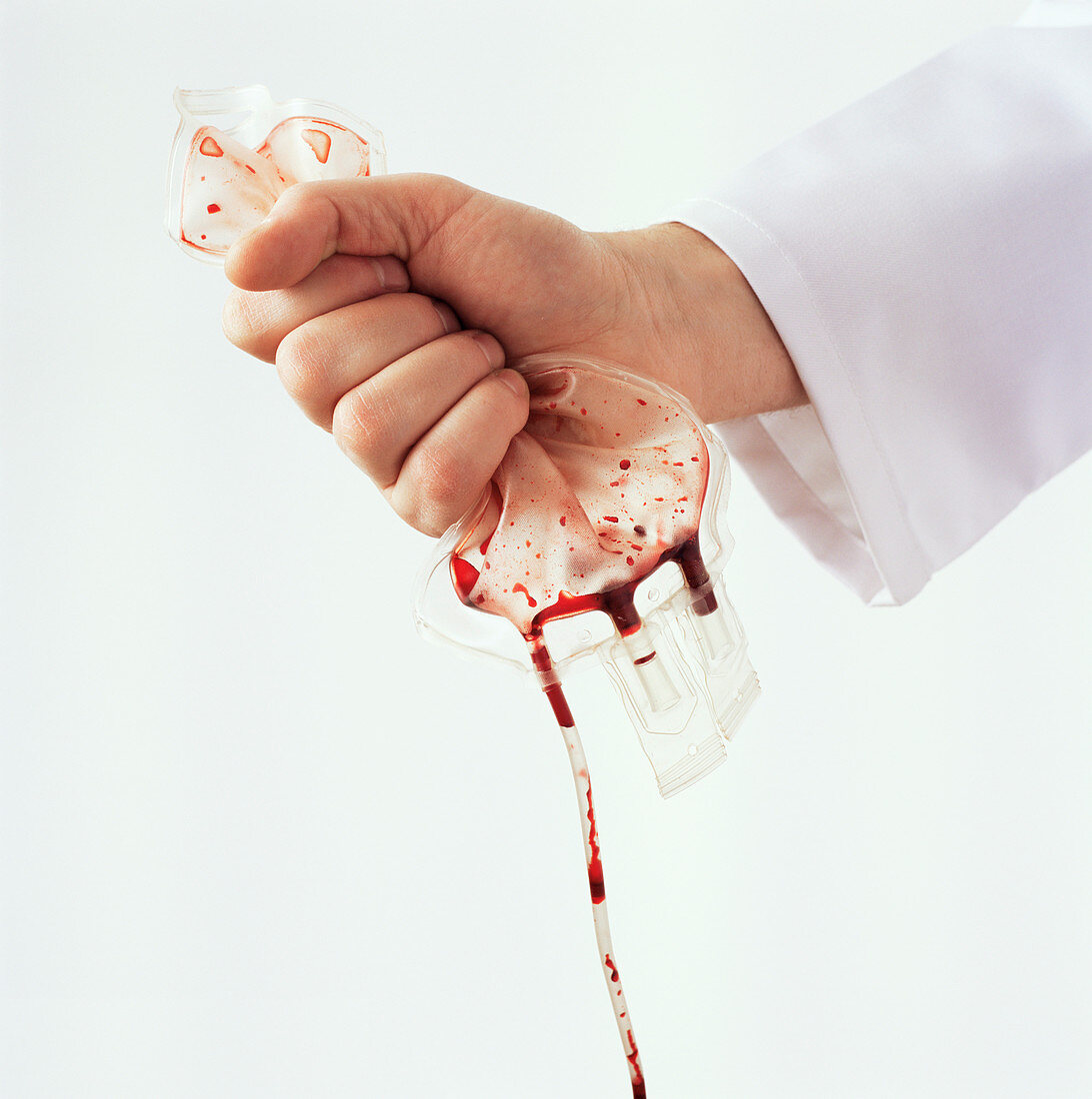 Blood transfusion,conceptual image