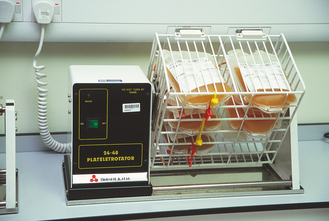 Processing donor blood platelets