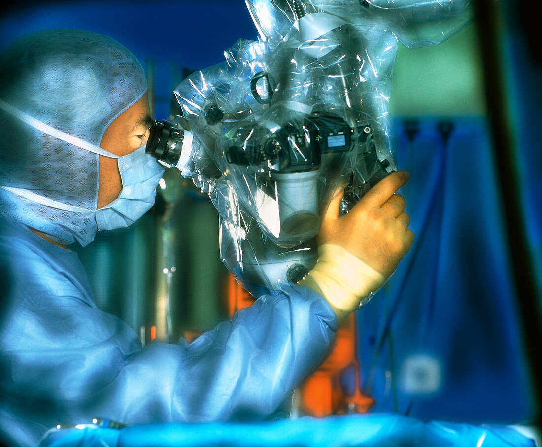 Surgeon using a microscope during microsurgery