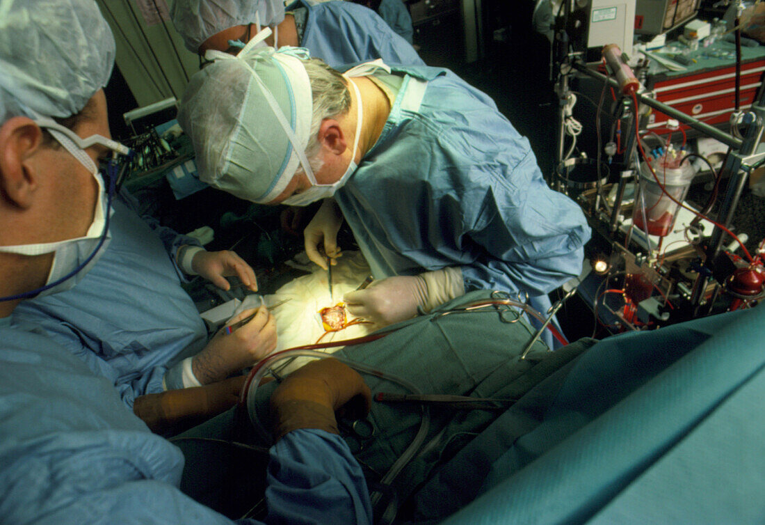 Paediatric heart transplant: surgeon at work