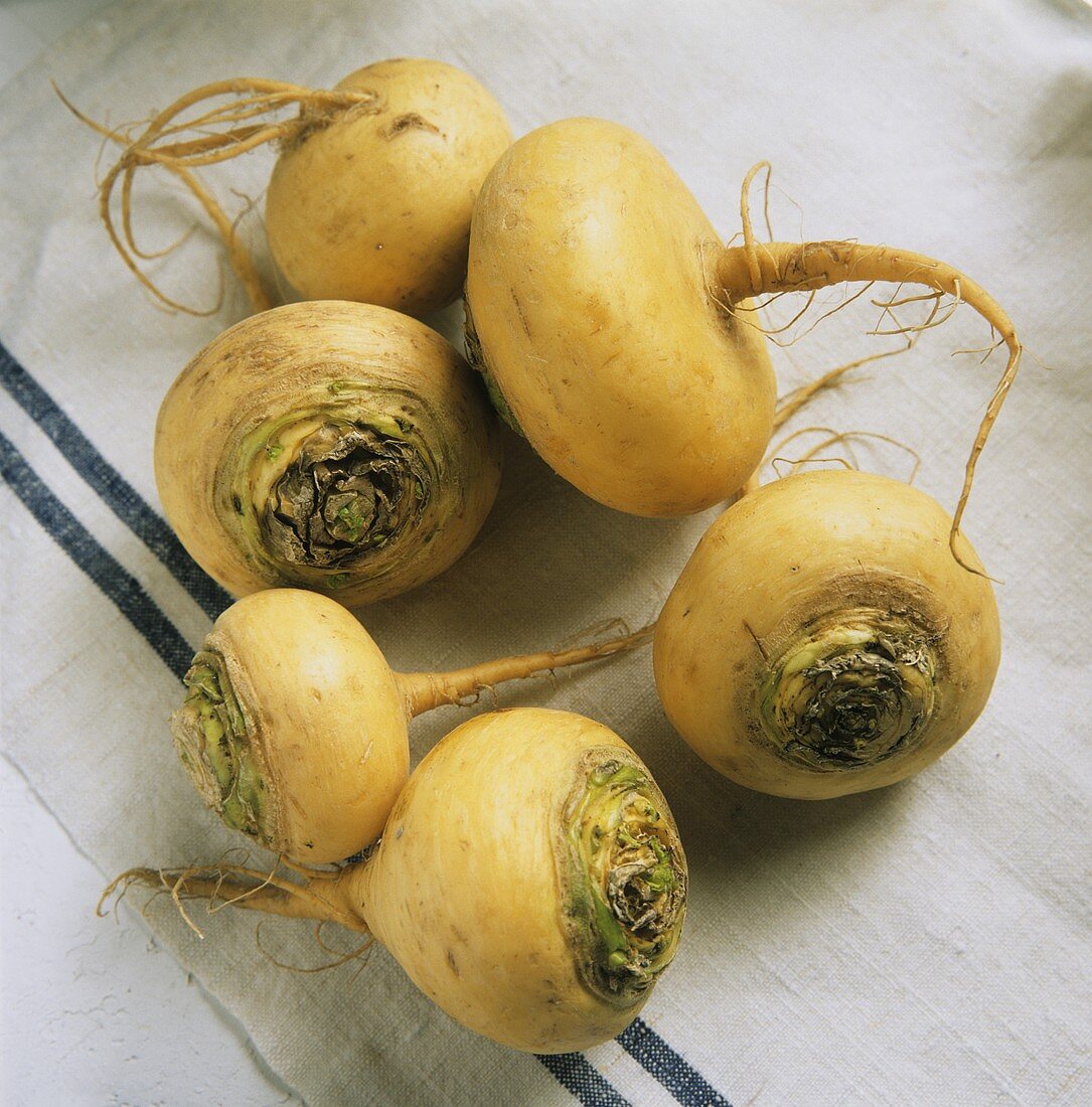 Several Teltower turnips lying on cloth