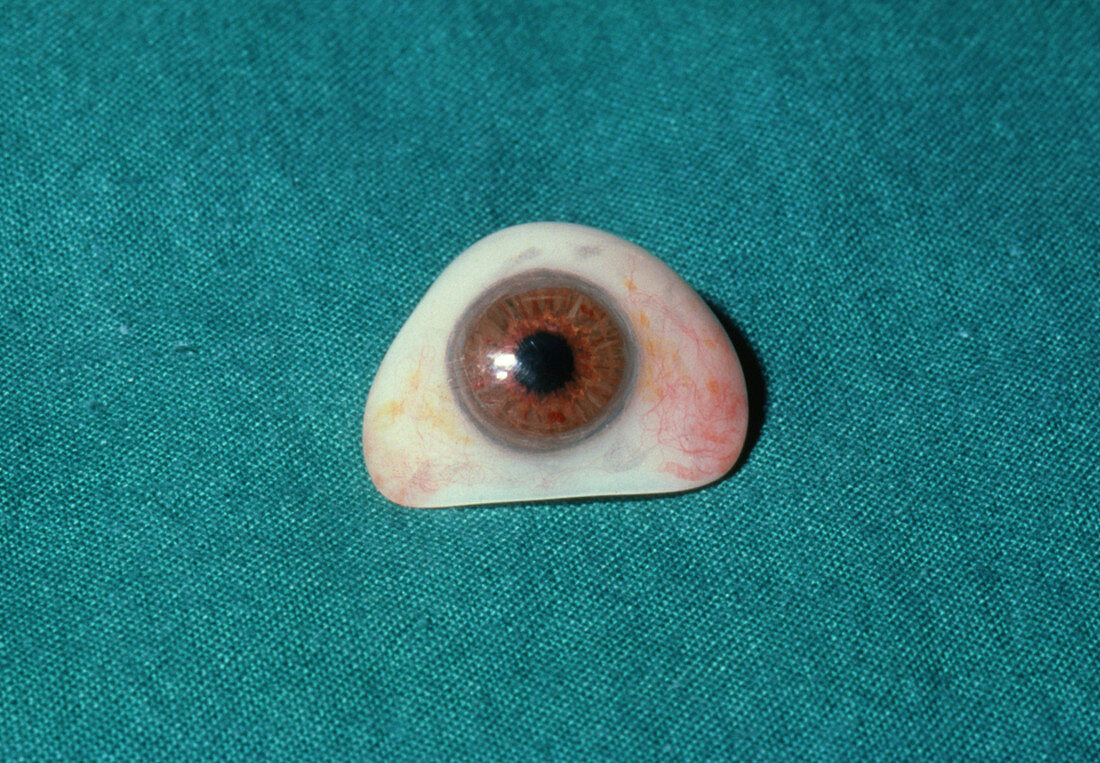 Prosthetic eye (brown)