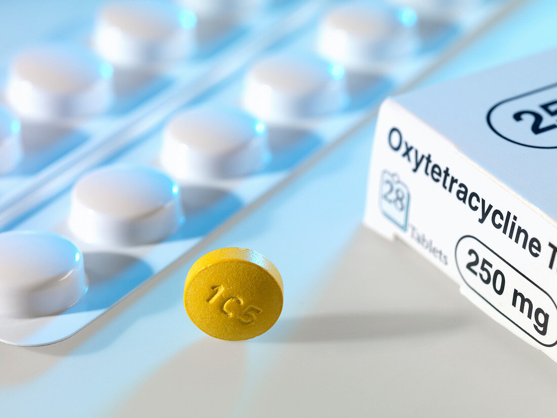 Oxytetracycline antibiotic pill