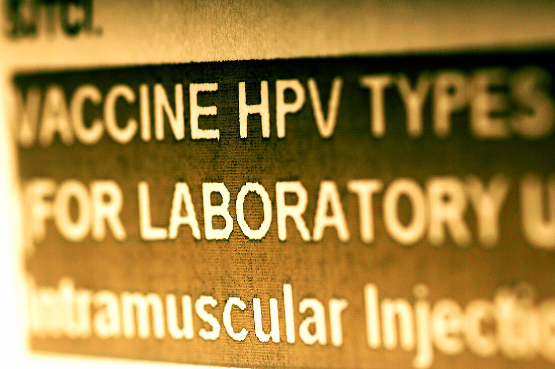 Human papillomavirus vaccine