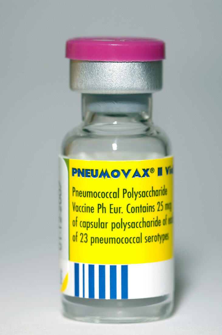 Pneumovax streptococcus vaccine