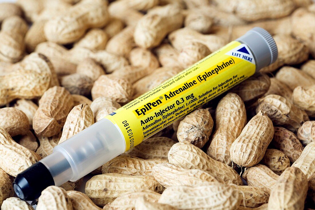 EpiPen and peanuts