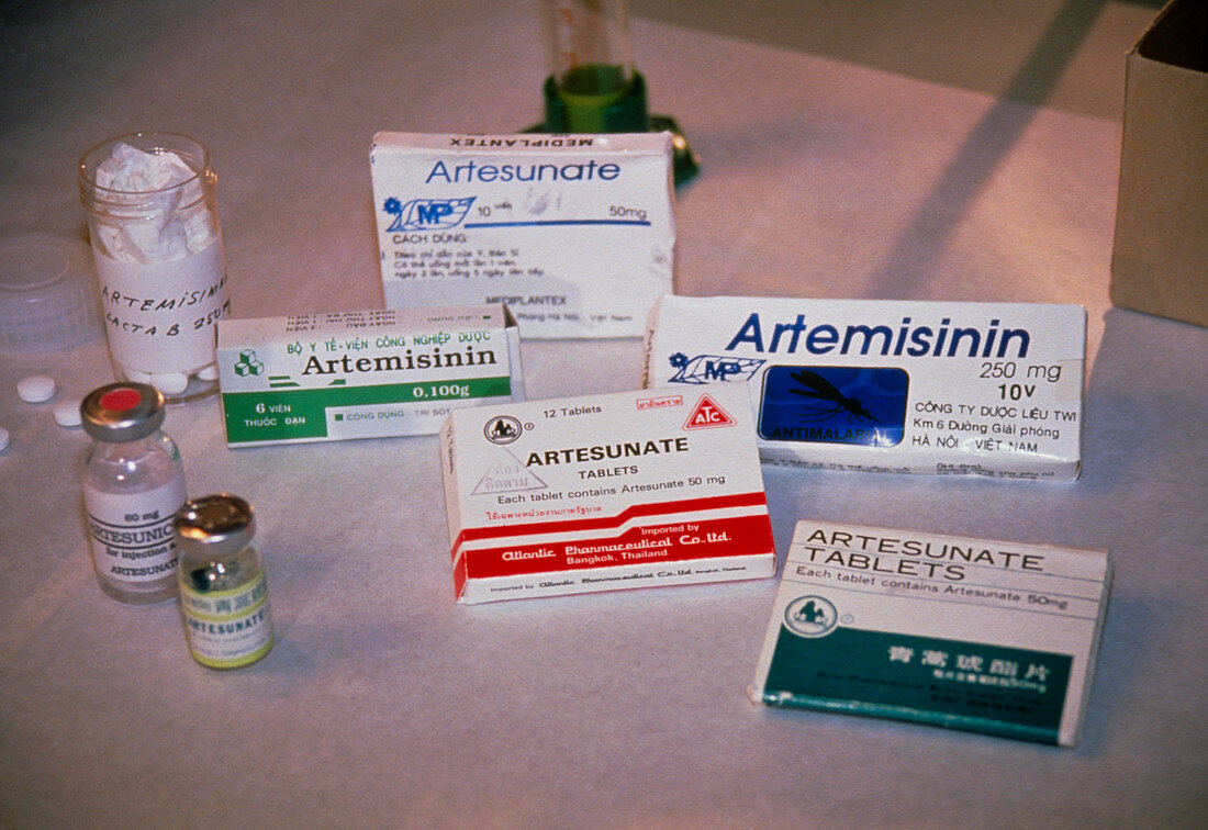 Antimalarial drugs from Artemisia annua plant
