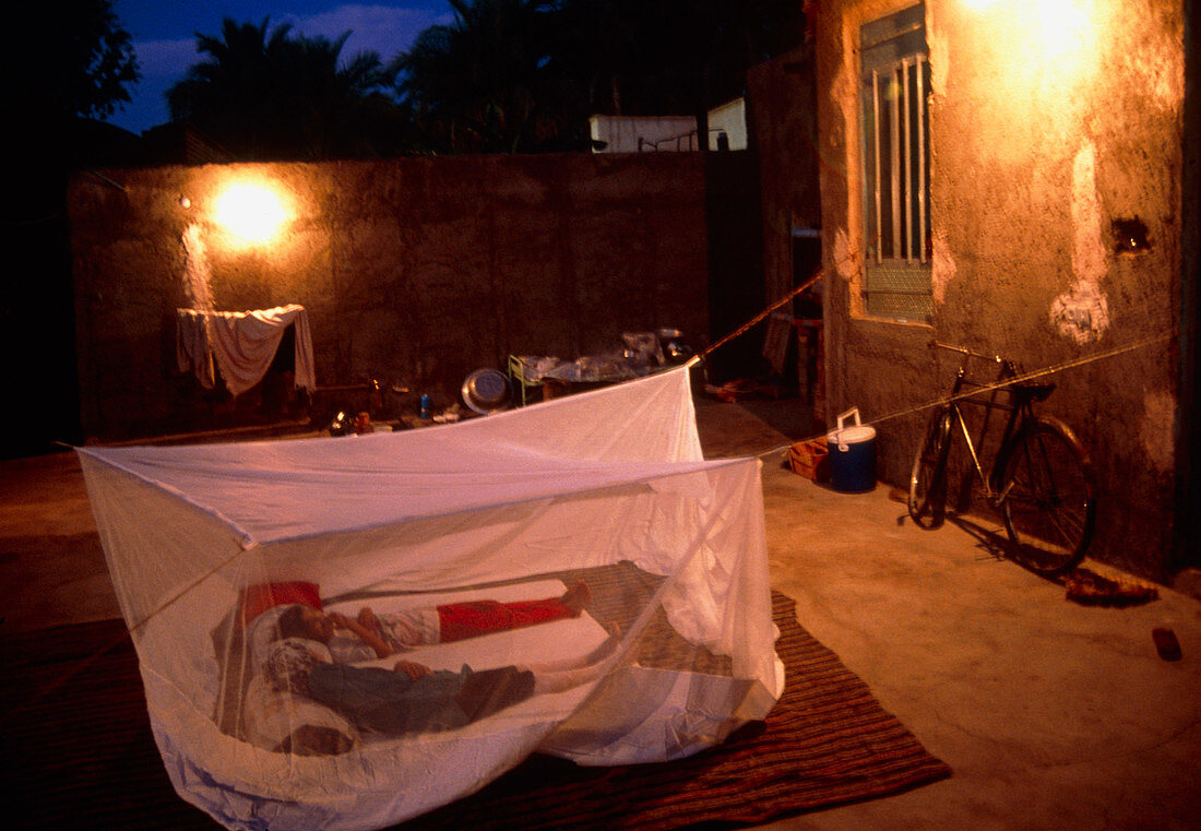 View of people sleeping under a mosquito net