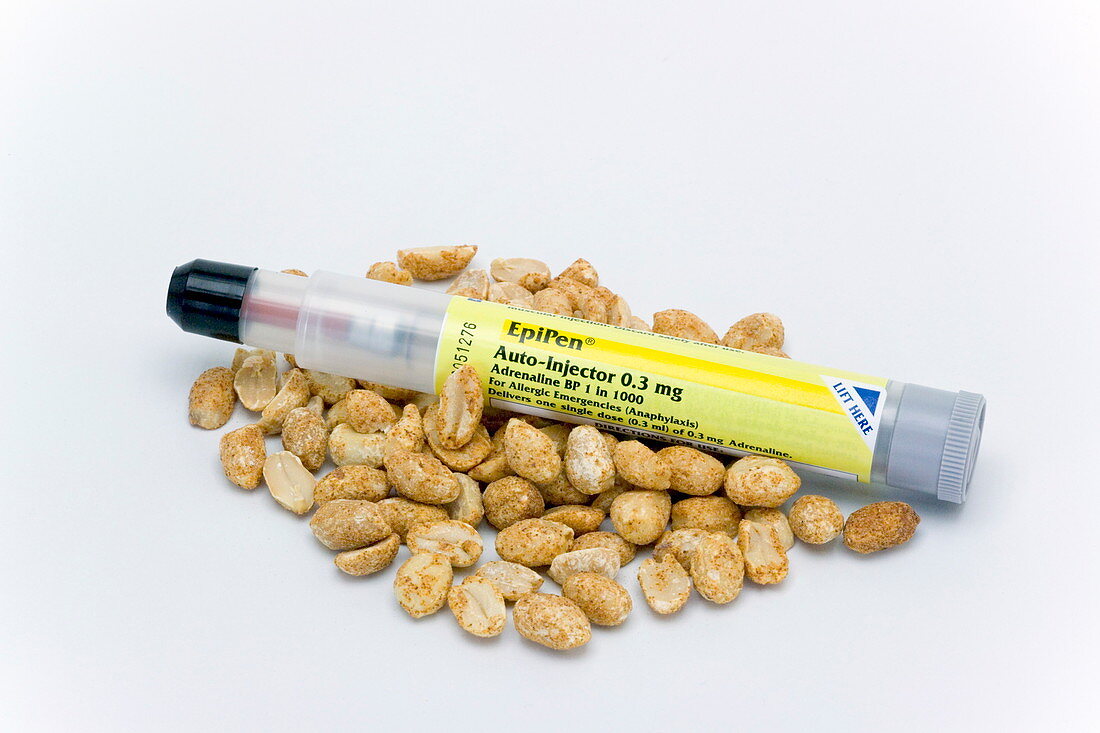 EpiPen adrenaline syringe and peanuts