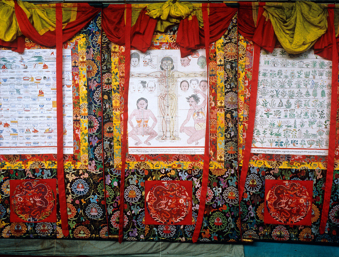 Display of Tibetan herbal medicine charts