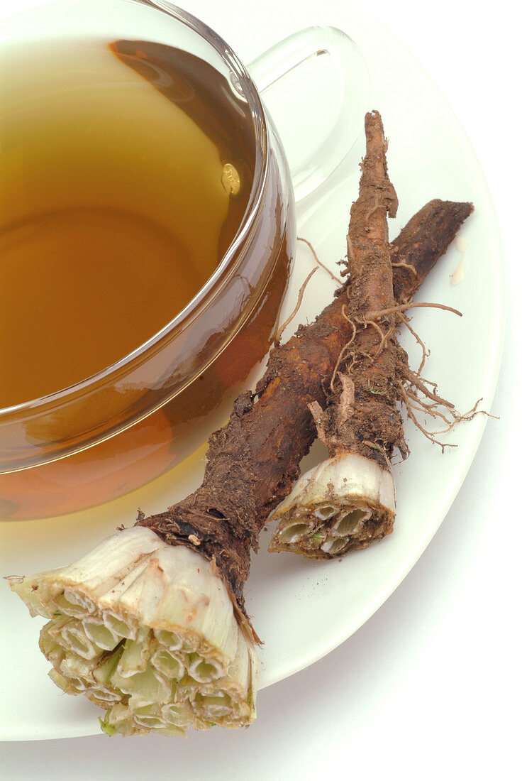 Dandelion root tea