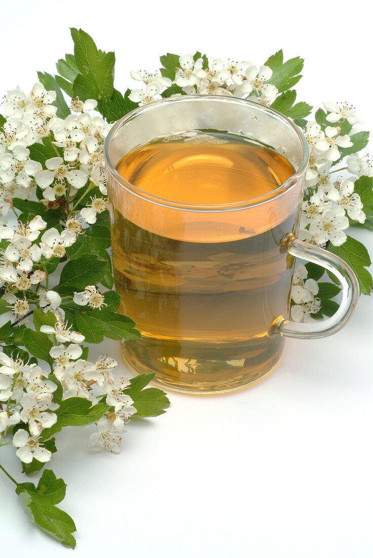 Hawthorn flower tea