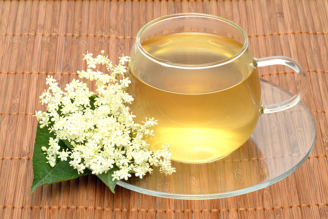 Elderflower tea