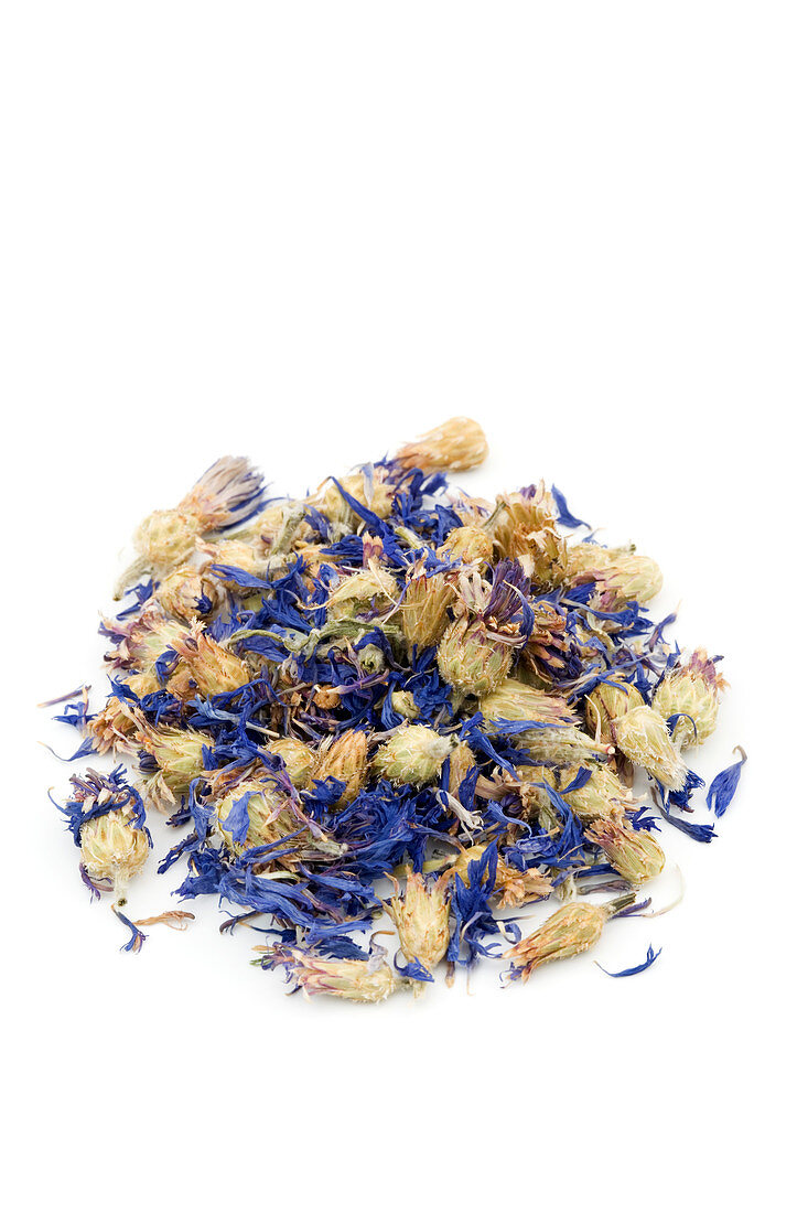 Cornflower herb