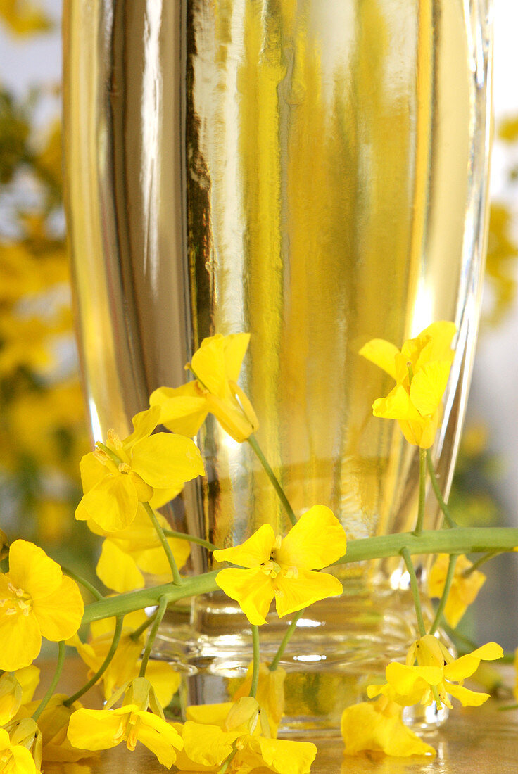 Rapeseed oil and flowers