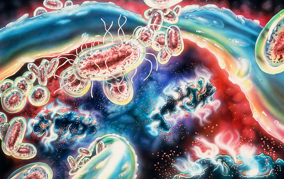 Artwork of bacterial plaque on a tooth surface