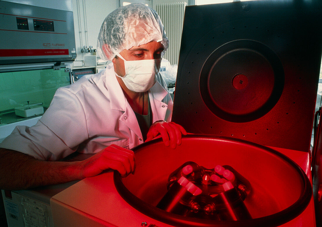 Technician centrifuging tubes of human sperm