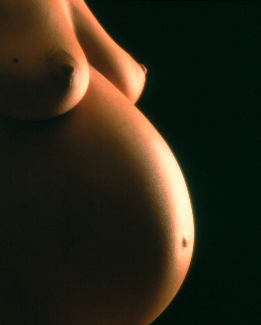Naked abdomen of a pregnant woman at full-term
