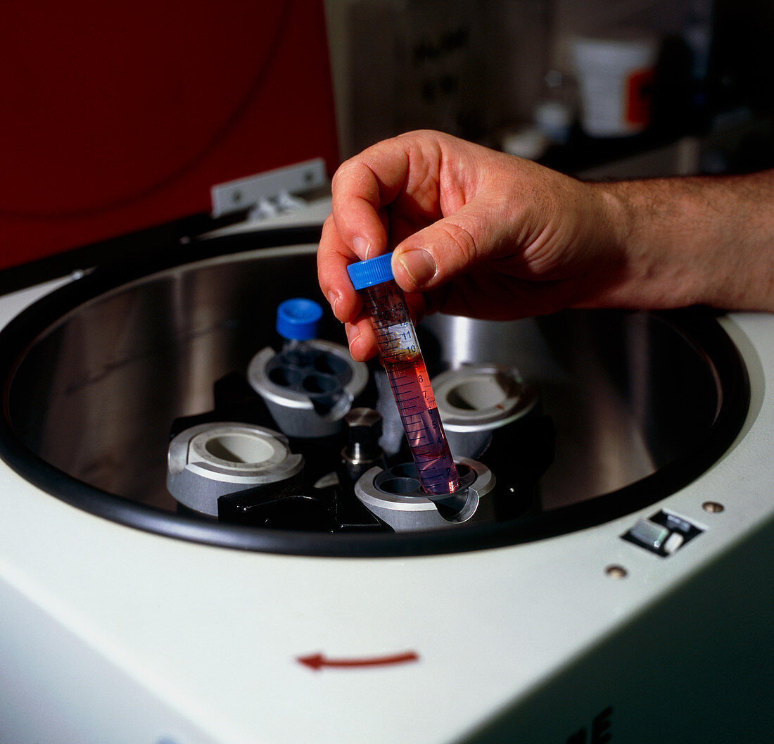 Test tube of sperm being placed in a centrifuge