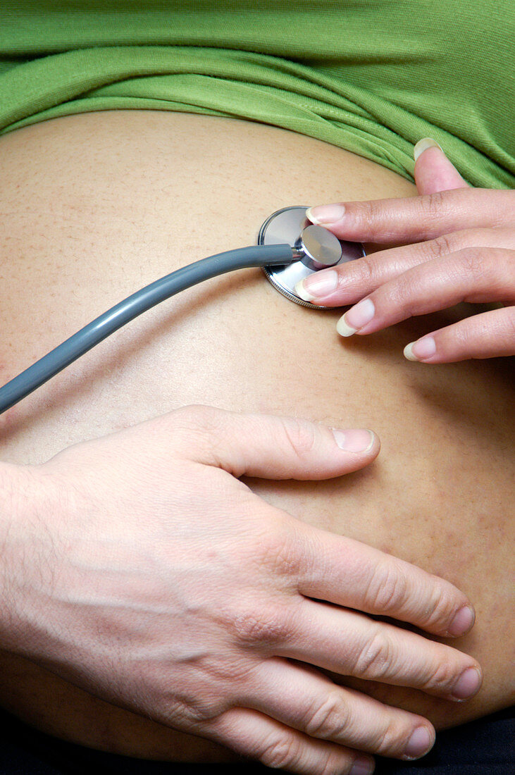 Pregnant woman holding a stethoscope