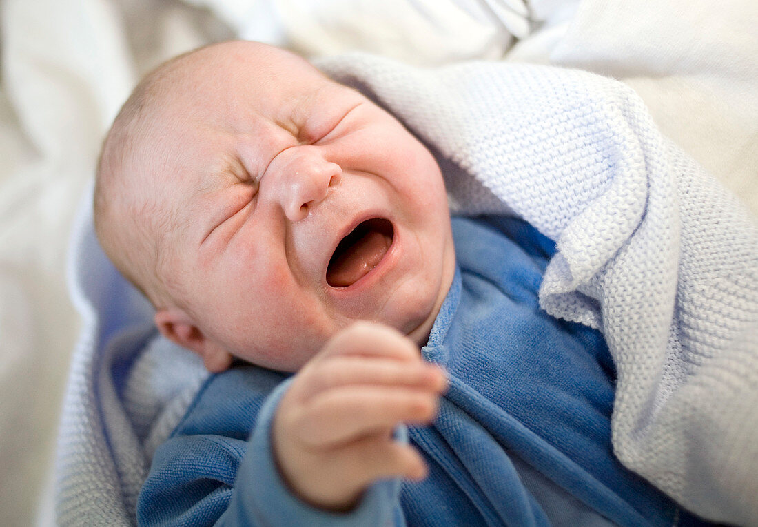 Newborn baby boy crying