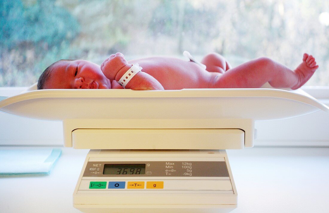 Newborn baby being weighed