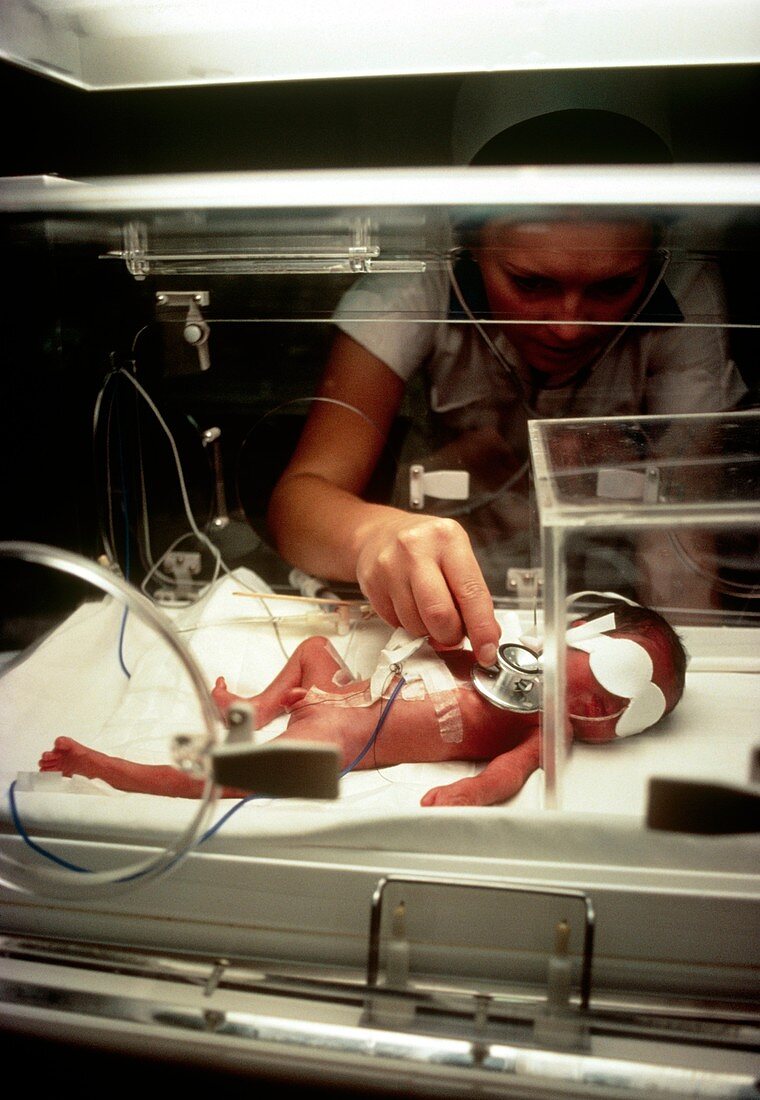 Nurse monitoring the heartbeat of a premature baby