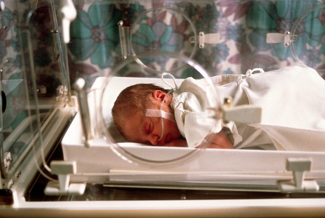 Premature baby in a thermostat-controlled cot