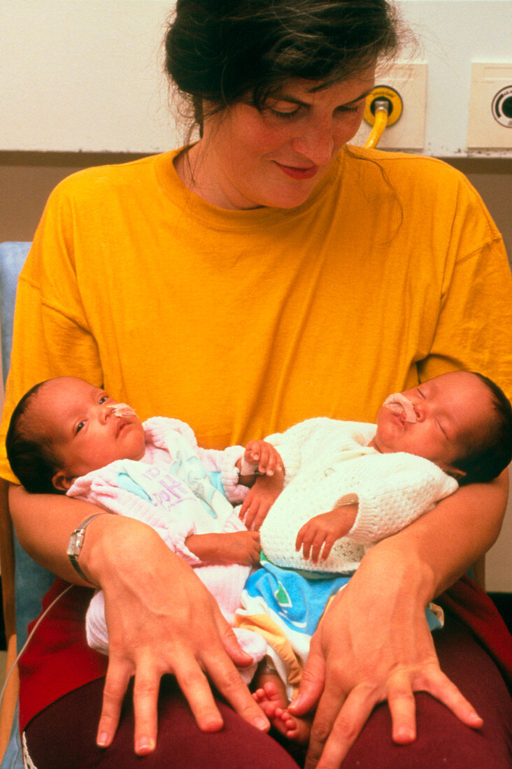 Premature twins with mother in neonatal unit