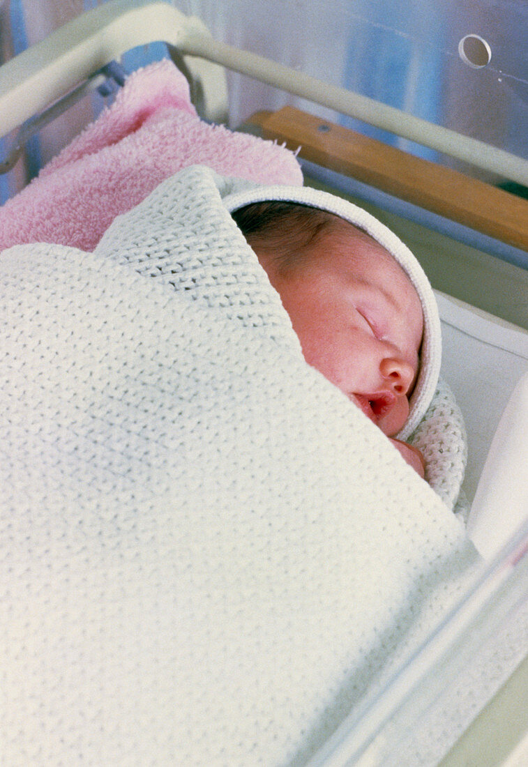 Newborn baby sleeping in a hospital cot