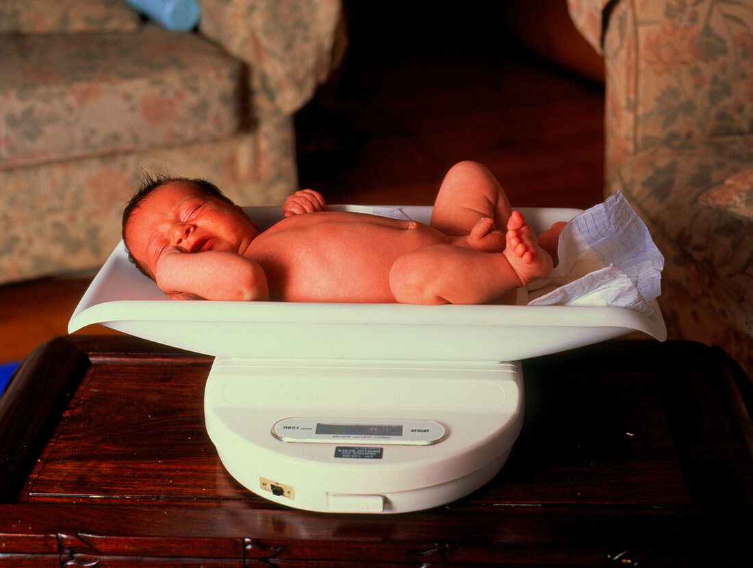 Newborn baby being weighed on a scale