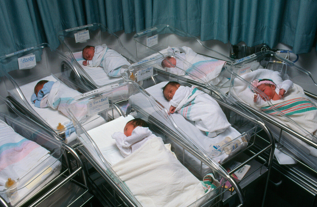 Newborn babies in a hospital maternity nursery