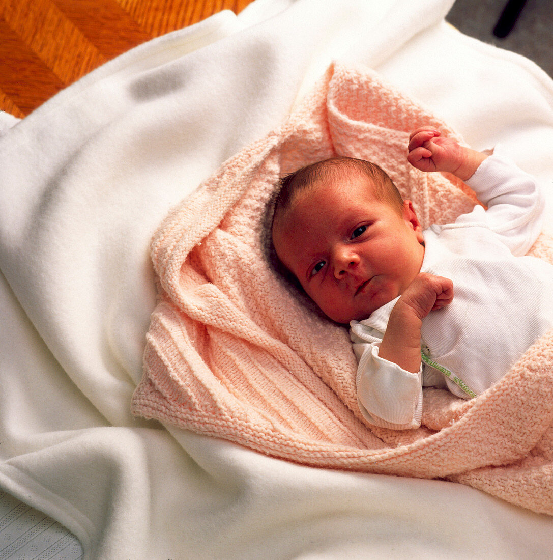 Newborn baby lying wrapped in blankets