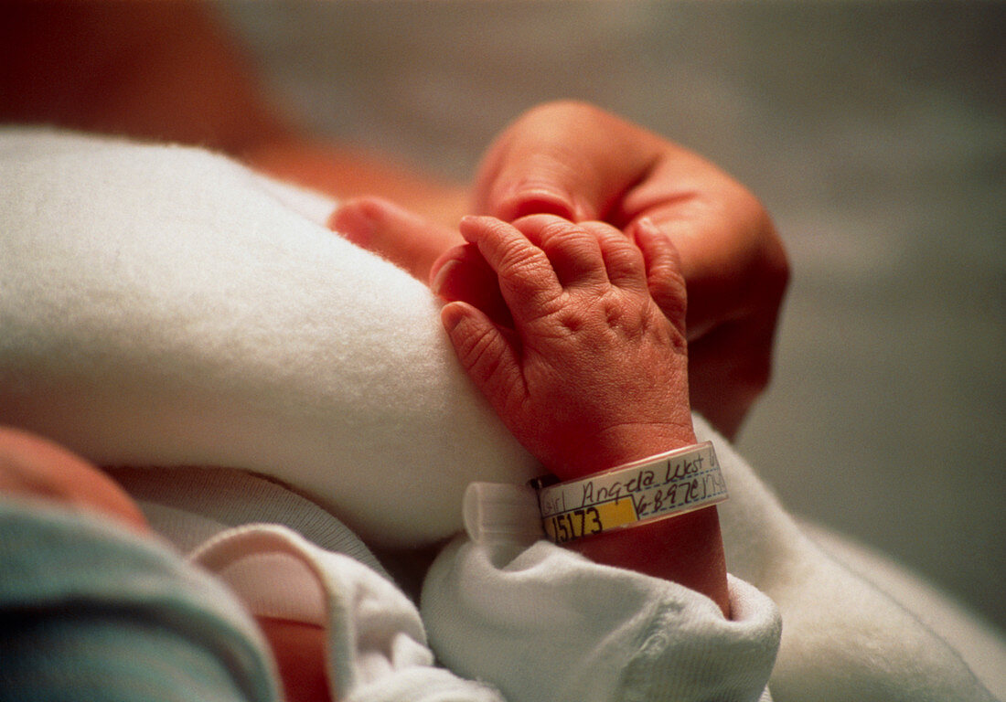 Identification tag on a newborn baby's wrist