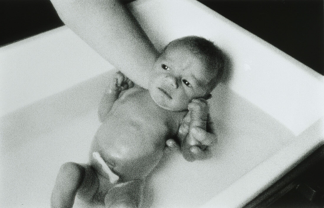Bathing newborn baby