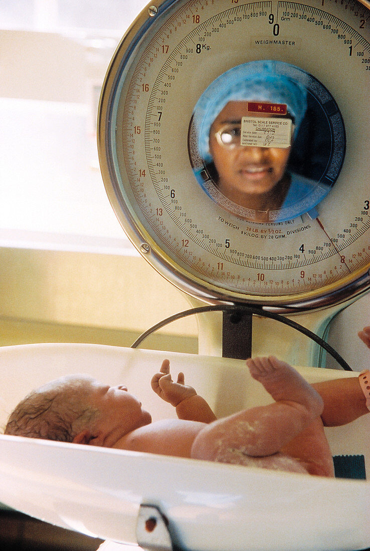 Weighing newborn baby