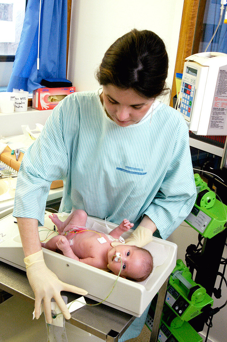 Nurse weighing a premature baby