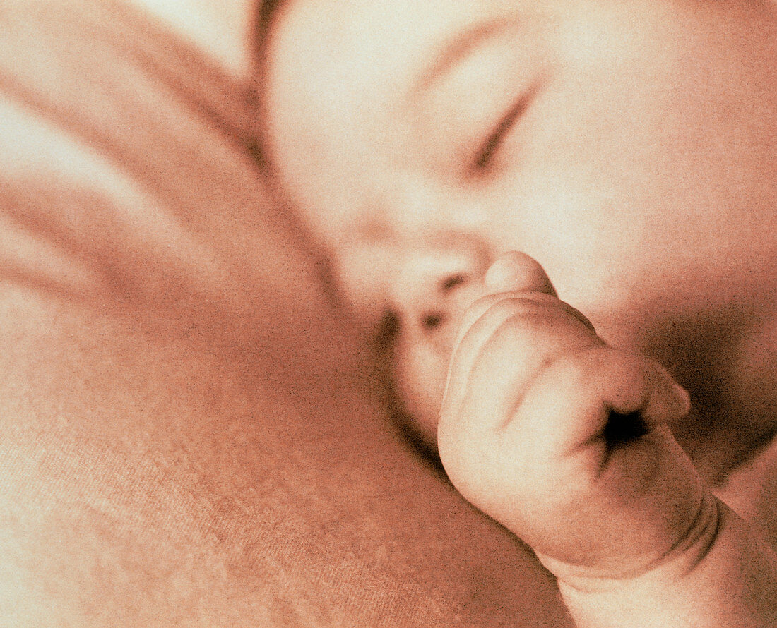 Face of a sleeping two month old baby boy